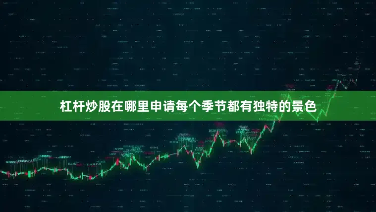 杠杆炒股在哪里申请每个季节都有独特的景色