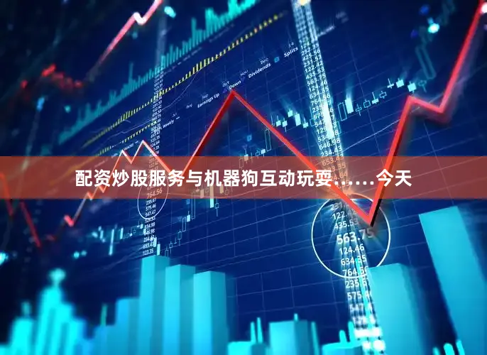 配资炒股服务与机器狗互动玩耍……今天