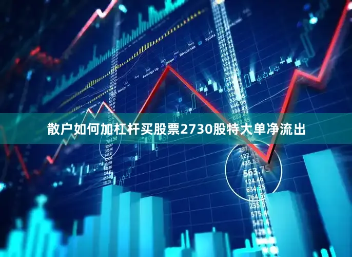 散户如何加杠杆买股票2730股特大单净流出