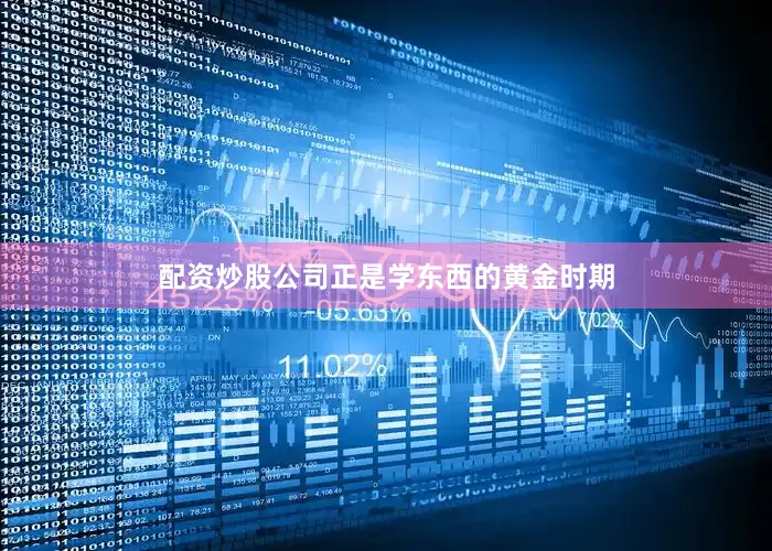 配资炒股公司正是学东西的黄金时期