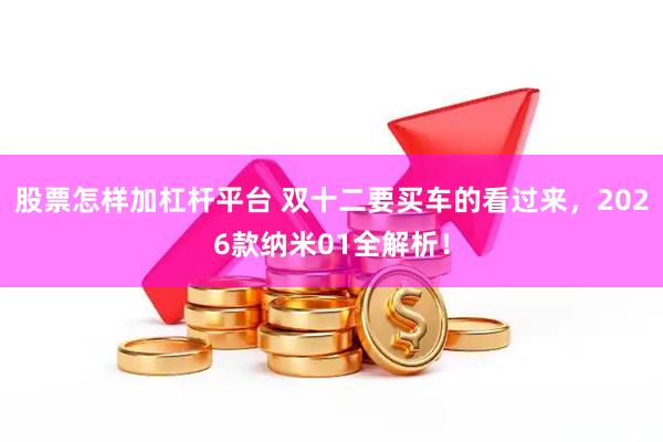 股票怎样加杠杆平台 双十二要买车的看过来，2026款纳米01全解析！