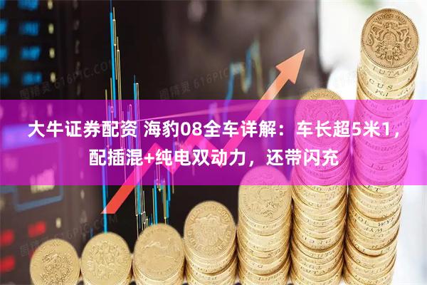 大牛证券配资 海豹08全车详解：车长超5米1，配插混+纯电双动力，还带闪充