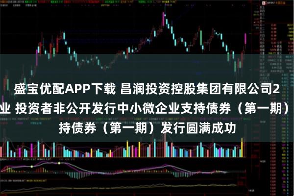 盛宝优配APP下载 昌润投资控股集团有限公司2026年面向专业 投资者非公开发行中小微企业支持债券（第一期）发行圆满成功
